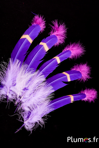 Oie - Plume indienne avec dessin - 30-35 cm - violet